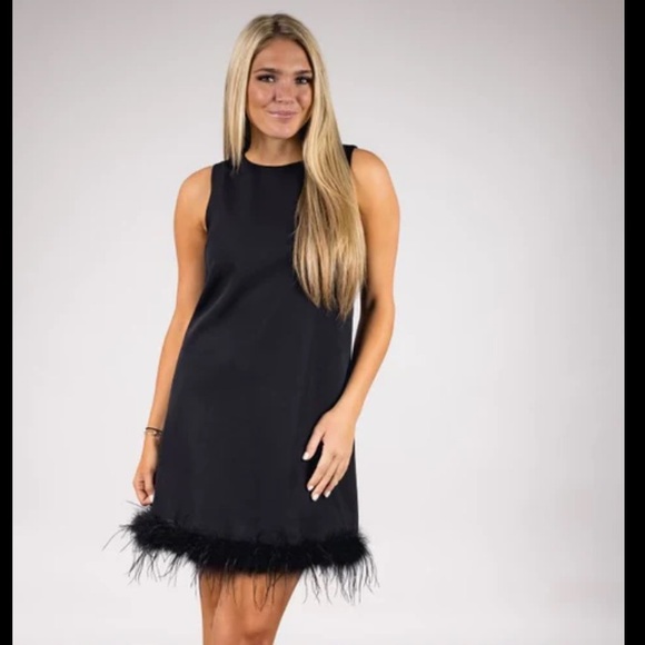 Petite Plume Other - NEW Petite Plume 100% Mulberry SILK Black Feather Hem Lined Tunic Dress Large